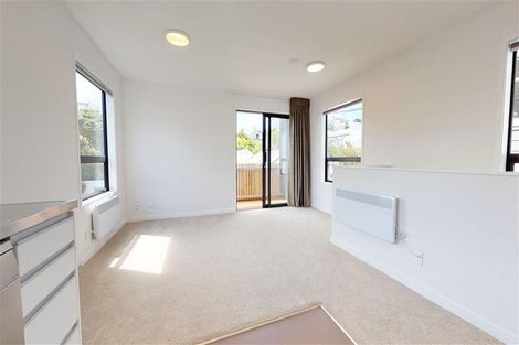 Photo of property in 3/17 Nairn Street, Mount Cook, Wellington, 6011