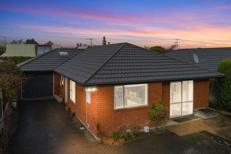 Photo of property in 19a Monro Street, Blenheim, 7201