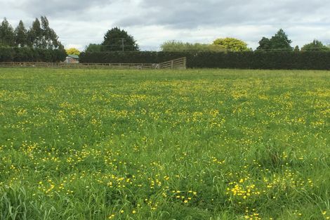 Photo of property in 773 Tauwhare Road, Tauwhare, Hamilton, 3287