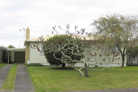 Photo of property in 20 Norfolk Street, Levin, 5510
