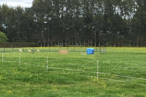 Photo of property in 773 Tauwhare Road, Tauwhare, Hamilton, 3287