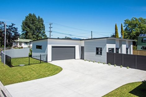 Photo of property in 1 Plains Avenue, Masterton, 5810