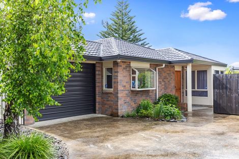 Photo of property in 7a Cornwall Street, Gate Pa, Tauranga, 3112