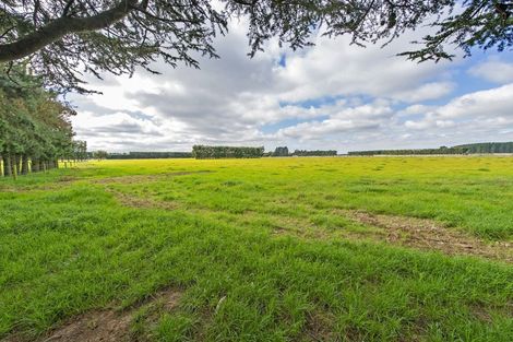 Photo of property in 143 Telegraph Road, Burnham, Christchurch, 7677