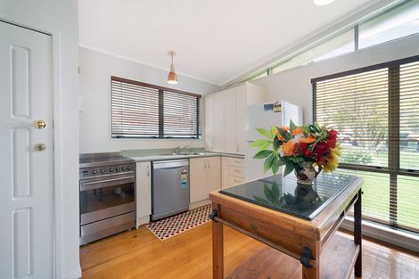 Photo of property in 55 Batkin Road, New Windsor, Auckland, 0600