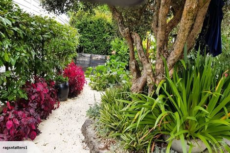 Photo of property in 115 Crummer Road, Grey Lynn, Auckland, 1021