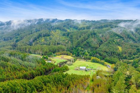 Photo of property in 795 Oio Road, Owhango, 3990