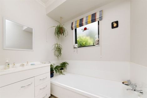 Photo of property in 101 Lincoln Street, Ashhurst, 4810