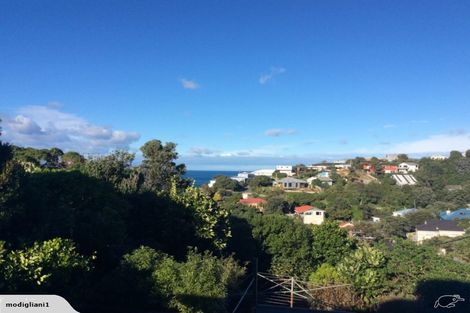 Photo of property in 19 Milne Terrace, Island Bay, Wellington, 6023