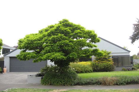 Photo of property in 17 Willoughby Lane, Parklands, Christchurch, 8083