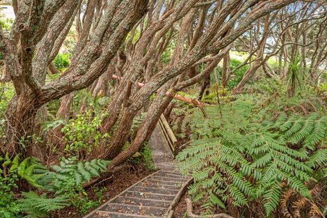 Photo of property in 38 Pacific Parade, Army Bay, Whangaparaoa, 0930