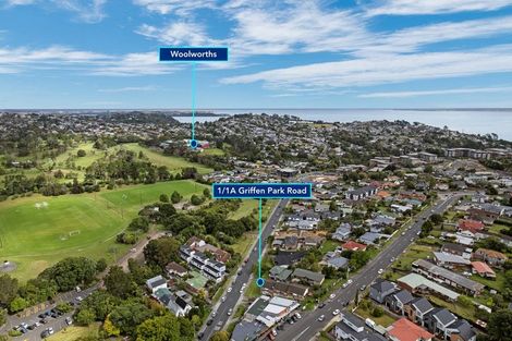 Photo of property in 1/1 Griffen Road, Mount Roskill, Auckland, 1041