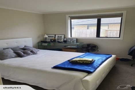 Photo of property in 14 Patatee Terrace, Baverstock, Hamilton, 3200