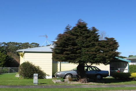 Photo of property in 28 Churchill Crescent, Featherston, 5710