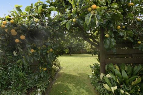 Photo of property in 33 Lydbrook Place, Otumoetai, Tauranga, 3110