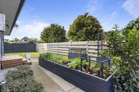 Photo of property in 11a Brinkley Road, Otumoetai, Tauranga, 3110