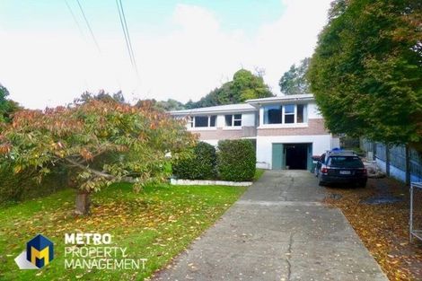 Photo of property in 22 Dalry Street, Mornington, Dunedin, 9011