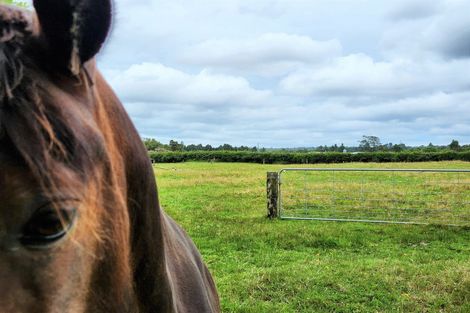 Photo of property in 734 Durham Road, Norfolk, Inglewood, 4388