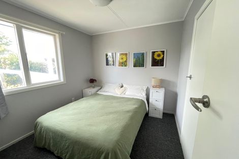 Photo of property in 17 Maria Place, Turangi, 3334