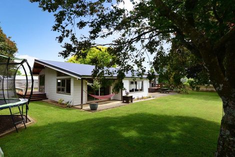 Photo of property in 335 Beechey Street, Pirongia, 3802