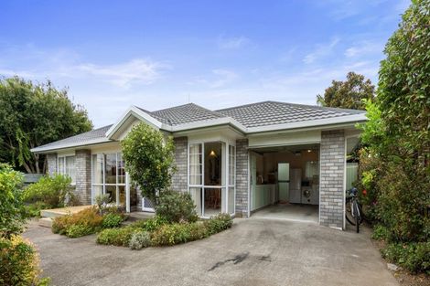 Photo of property in 8b Longwood Lane, Otumoetai, Tauranga, 3110