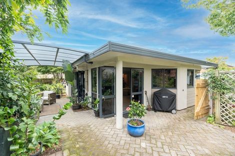 Photo of property in 51 Sunnyhills Avenue, Glenview, Hamilton, 3206