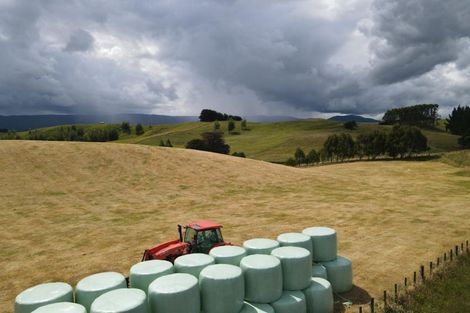 Photo of property in 183 Smith Road, Dannevirke, 4978