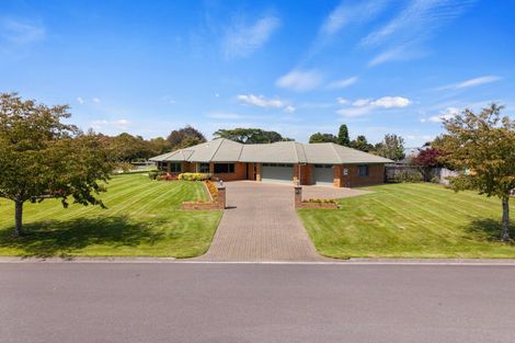 Photo of property in 6 Grosvenor Drive, Matamata, 3400