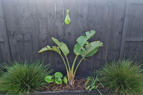 Photo of property in 13 Powhaitere Road, One Tree Point, 0118