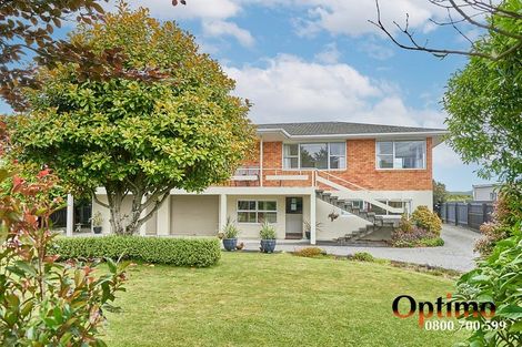 Photo of property in 115 Tiro Tiro Road, Levin, 5510