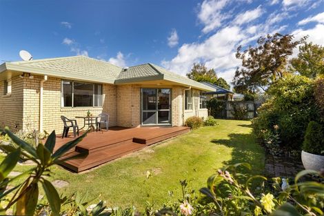 Photo of property in 31b Litchfield Street, Redwoodtown, Blenheim, 7201