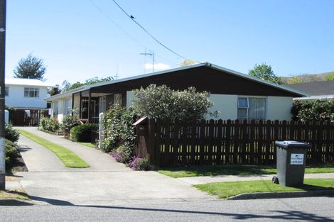 Photo of property in 187 Weld Street, Witherlea, Blenheim, 7201