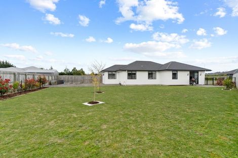 Photo of property in 6 Mitre Way, Solway, Masterton, 5810