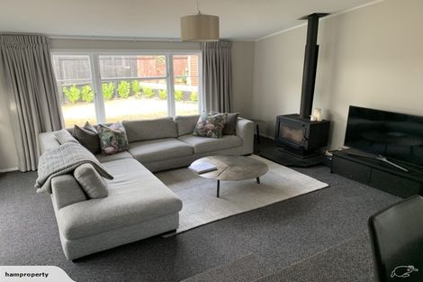 Photo of property in 46 Storey Avenue, Forest Lake, Hamilton, 3200