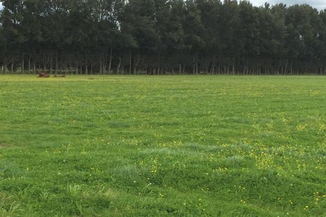 Photo of property in 773 Tauwhare Road, Tauwhare, Hamilton, 3287