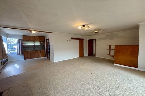 Photo of property in 51 Dillon Street, Blenheim, 7201