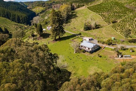 Photo of property in 619 Kirikau Valley Road, Kirikau, Taumarunui, 3993