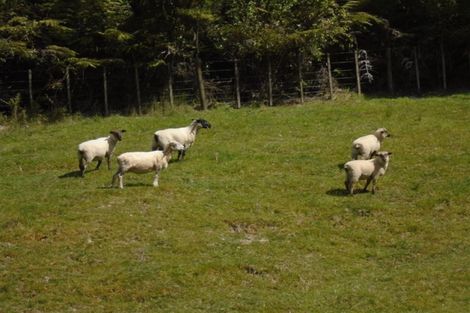 Photo of property in 43a Pinetone Road, Kumeu, 0892