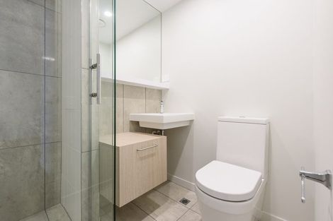 Photo of property in Vsp Southern Tower, 204/168 Victoria Street, Te Aro, Wellington, 6011