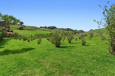 Photo of property in 59 Pohutukawa Drive, Waiotahe, Opotiki, 3198