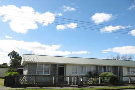 Photo of property in 16 Cuba Street, Marton, 4710