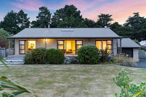 Photo of property in 36 Stepney Avenue, Harwood, Dunedin, 9077