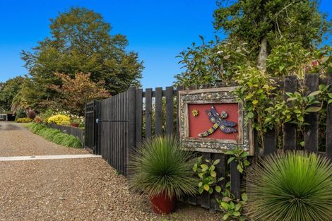 Photo of property in 172 Macdonald Road, Te Teko, Whakatane, 3192