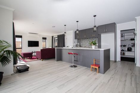 Photo of property in 17 Avian Place, Flagstaff, Hamilton, 3210