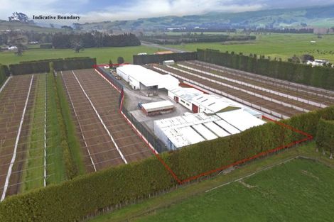 Photo of property in 11 Trig Road, Waihi, 3681