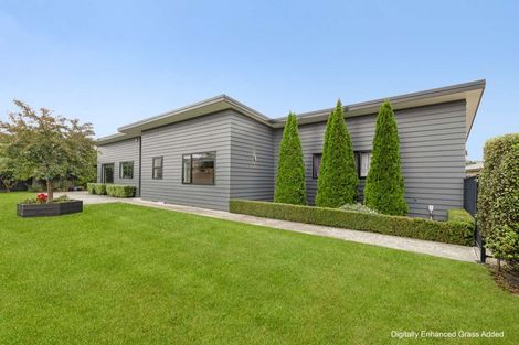 Photo of property in 302 Cambridge Avenue, Ashhurst, 4810