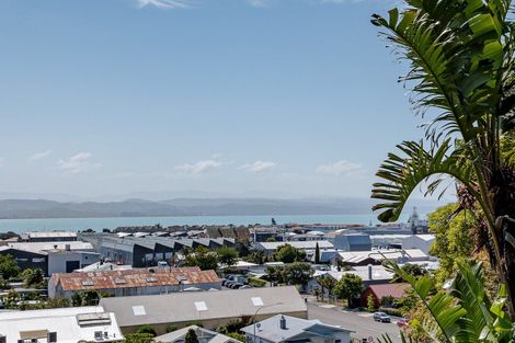 Photo of property in 156 Battery Road, Hospital Hill, Napier, 4110