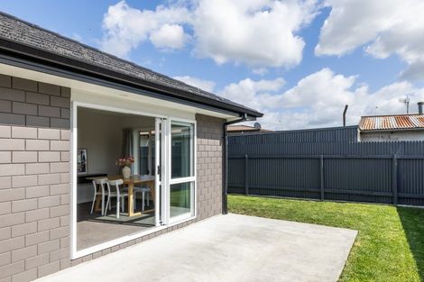 Photo of property in 173 Nikau Street, Saint Leonards, Hastings, 4120