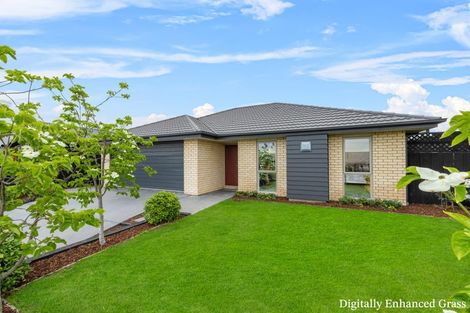 Photo of property in 9 Turvey Street, Pegasus, 7612