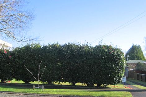 Photo of property in 15 De Vere Crescent, Chartwell, Hamilton, 3210